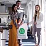 Состав и этапы проекта