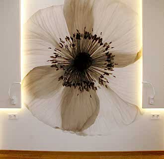 Ремонт двухкомнатной квартиры 51 кв. м в современном стиле. Фото проекта